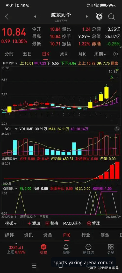 亚星体育iOS版最新版 亚星体育iOS版最新版全面解析:从兼容性修复到赛事体验升级的深度分析